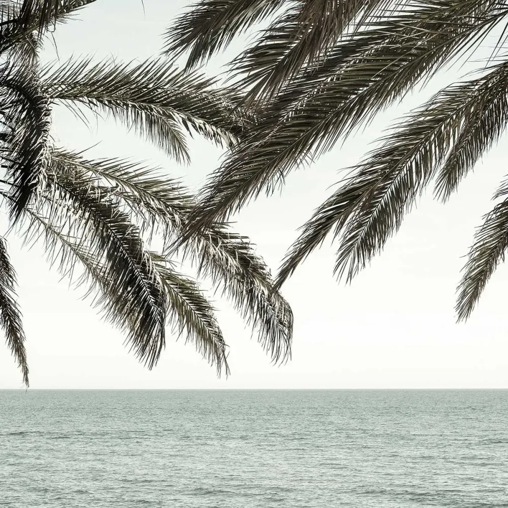 Illustration numéro 3 du produit Tableau plage tropicale secrète imprimé sur toile 60x90 cm