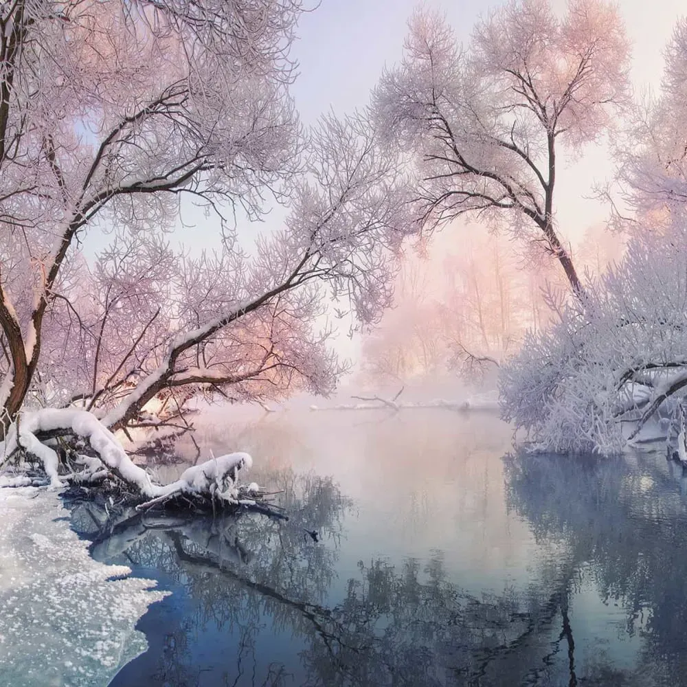 Illustration numéro 3 du produit Tableau paysage lac de Noël imprimé sur toile 90x60 cm