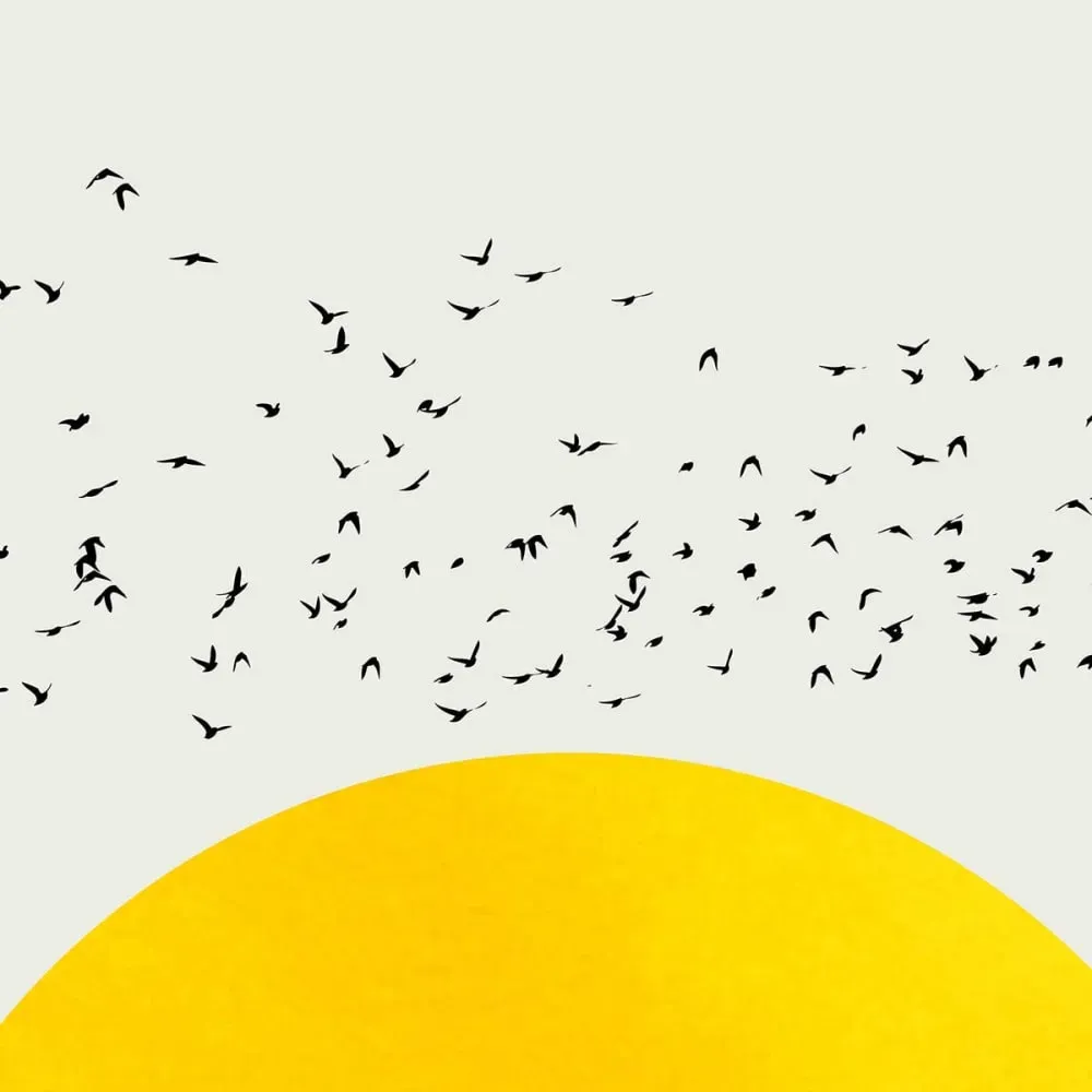 Illustration numéro 3 du produit Tableau dessin mille oiseaux imprimé sur toile 60x90 cm