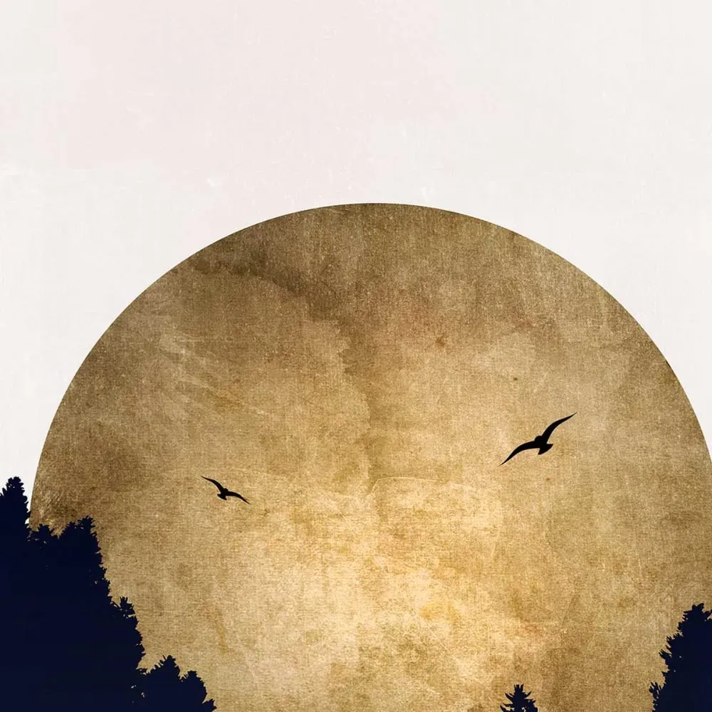 Illustration numéro 3 du produit Tableau crepuscule doré impression sur aluminium 60x90 cm