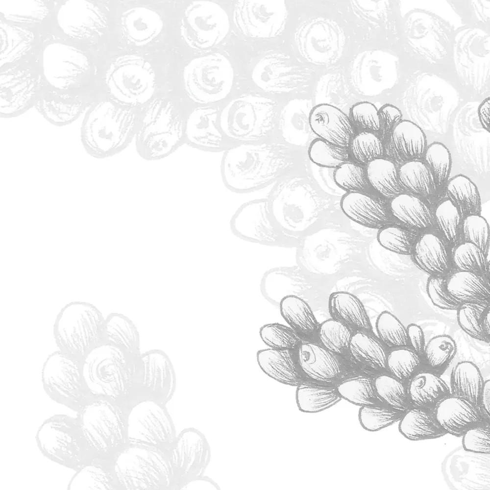 Illustration numéro 3 du produit Papier peint panoramique corail gris 150x250cm