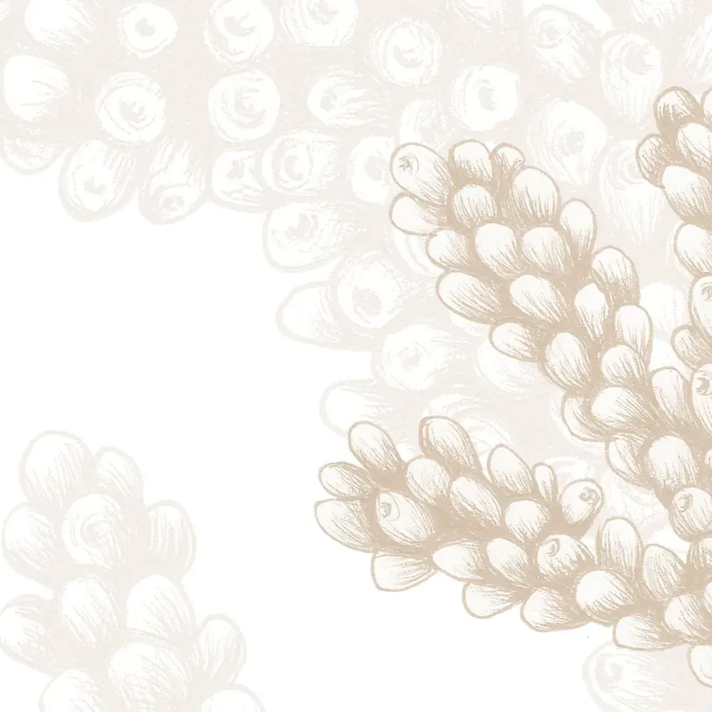 Illustration numéro 3 du produit Papier peint panoramique corail beige 300x250cm