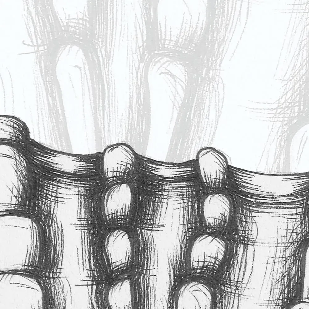 Illustration numéro 3 du produit Papier peint panoramique coquillage noir et blanc 225x250cm