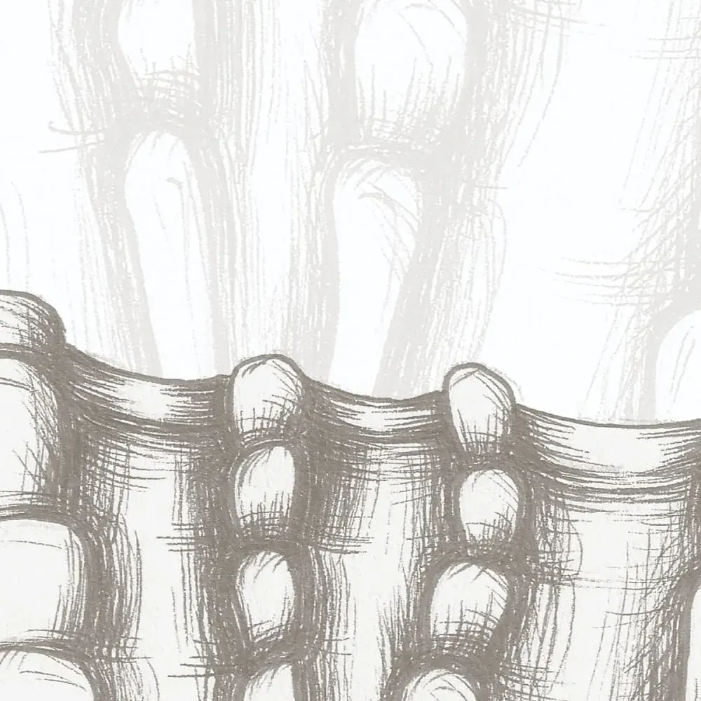 Illustration numéro 3 du produit Papier peint panoramique coquillage gris 225x250cm