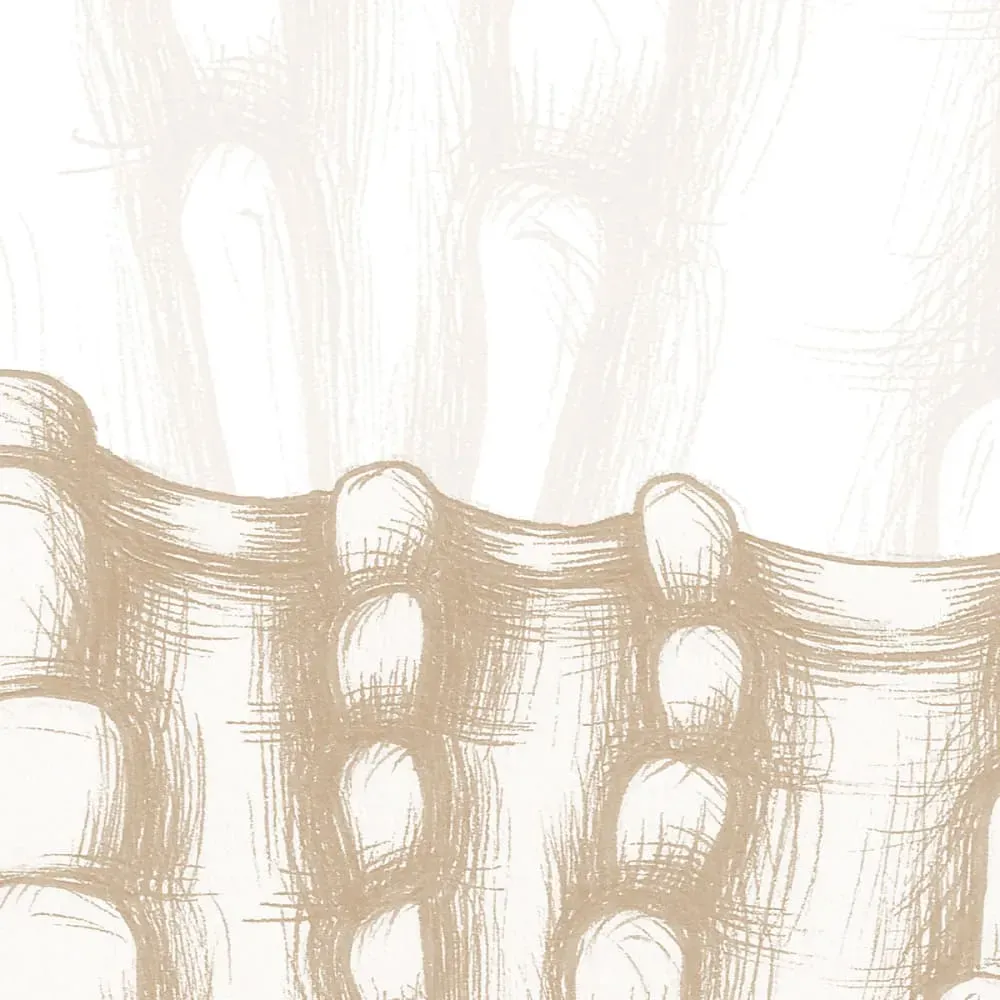 Illustration numéro 3 du produit Papier peint panoramique coquillage beige 225x250cm