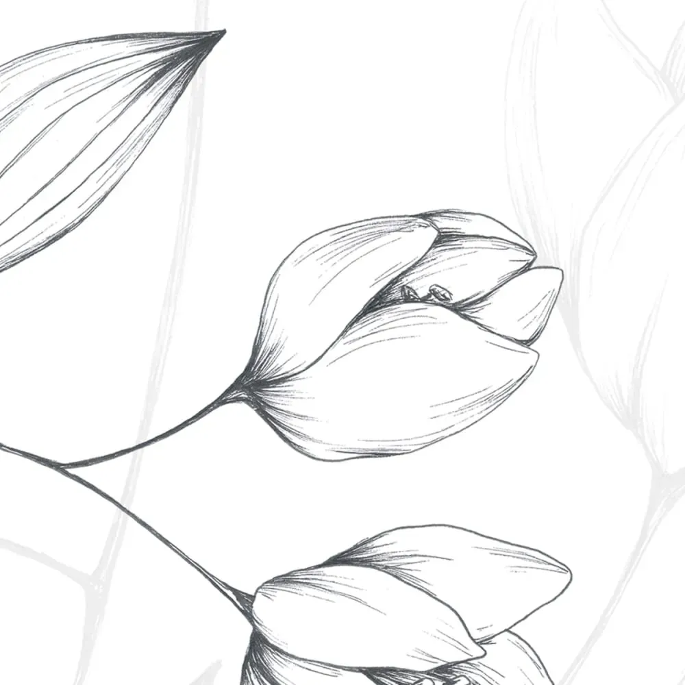 Illustration numéro 3 du produit Papier peint panoramique illustres pétales noir et blanc 525x250cm