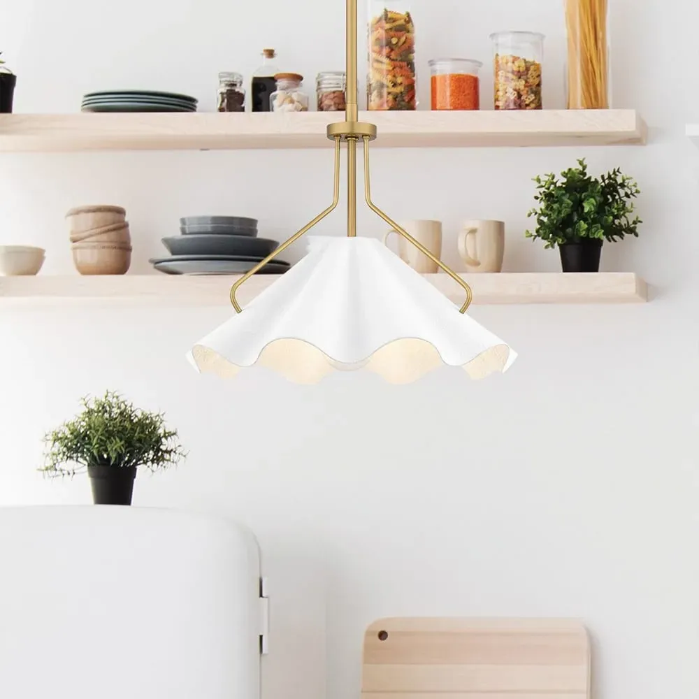 Illustration numéro 3 du produit Suspension  1 Lumière Acier