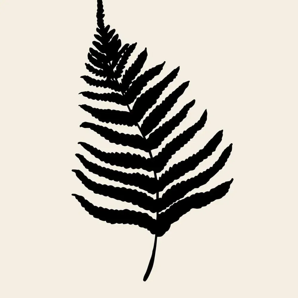 Illustration numéro 3 du produit Tableau black fougères imprimé sur toile 60x90 cm