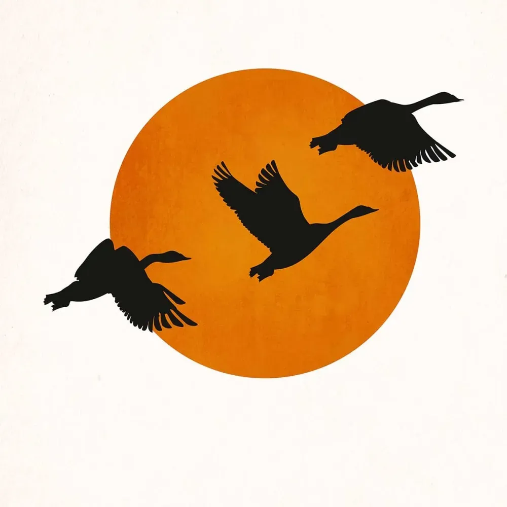 Illustration numéro 3 du produit Tableau retour des grues imprimé sur toile 60x90 cm