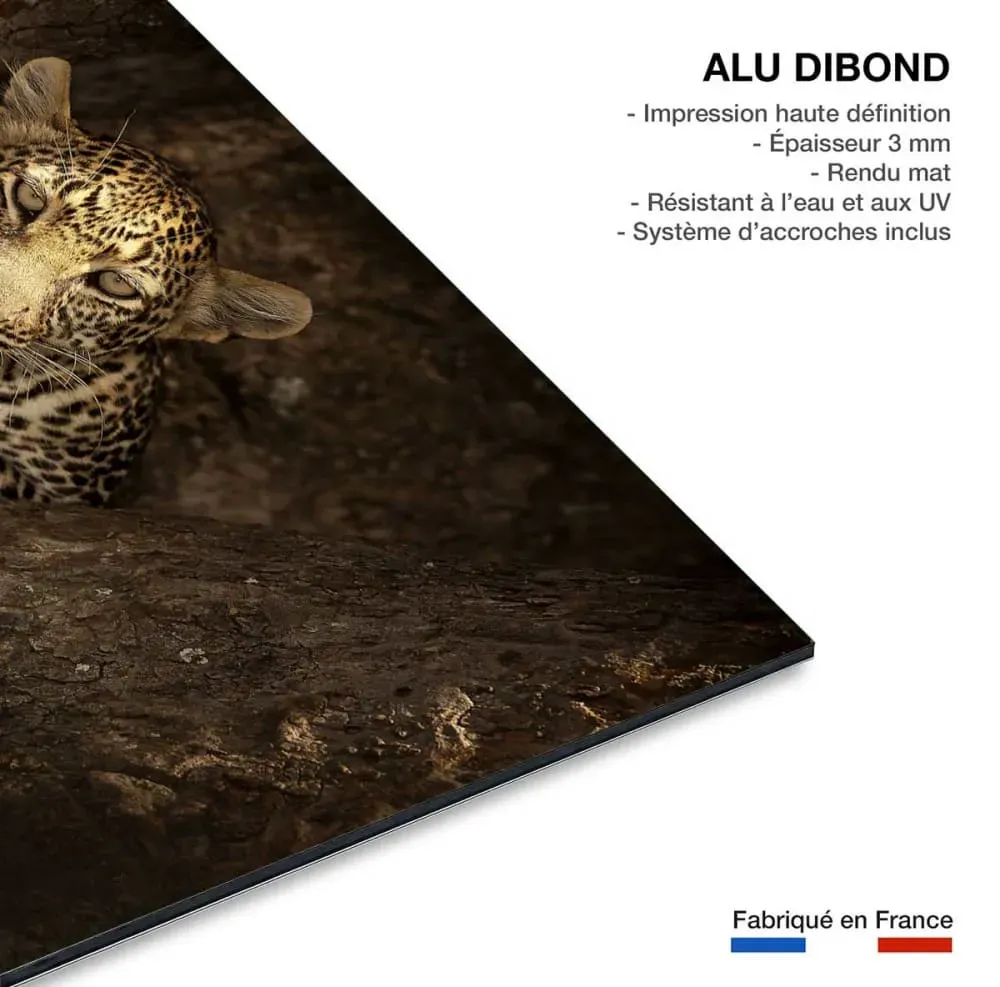 Illustration numéro 3 du produit Tableau masai léopard impression sur aluminium 120x80 cm