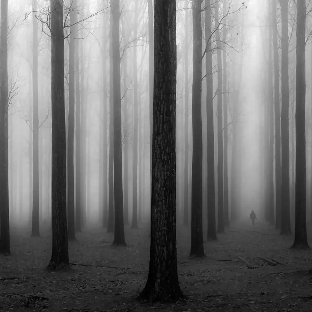 Illustration numéro 3 du produit Tableau nature foggy weather impression sur aluminium 120x80 cm