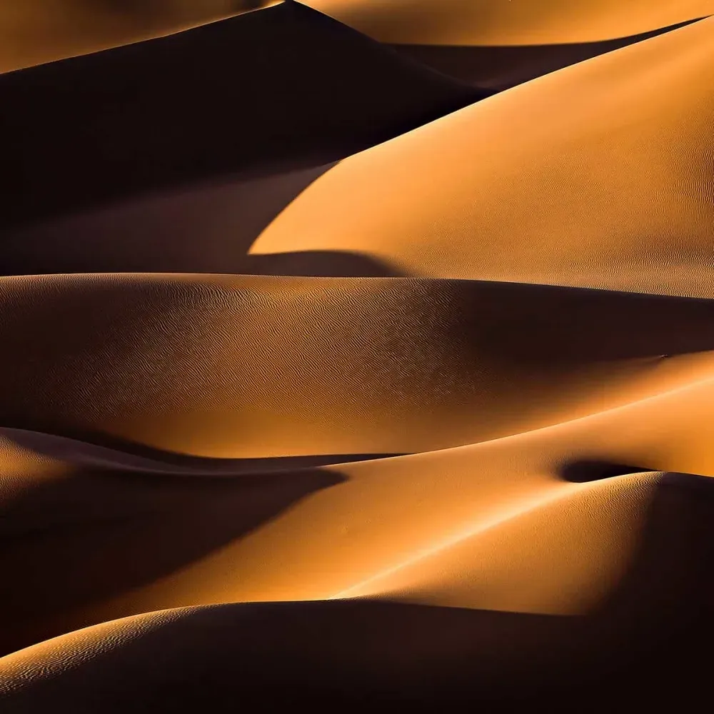 Illustration numéro 3 du produit Tableau dune et lumière impression sur aluminium 120x80 cm