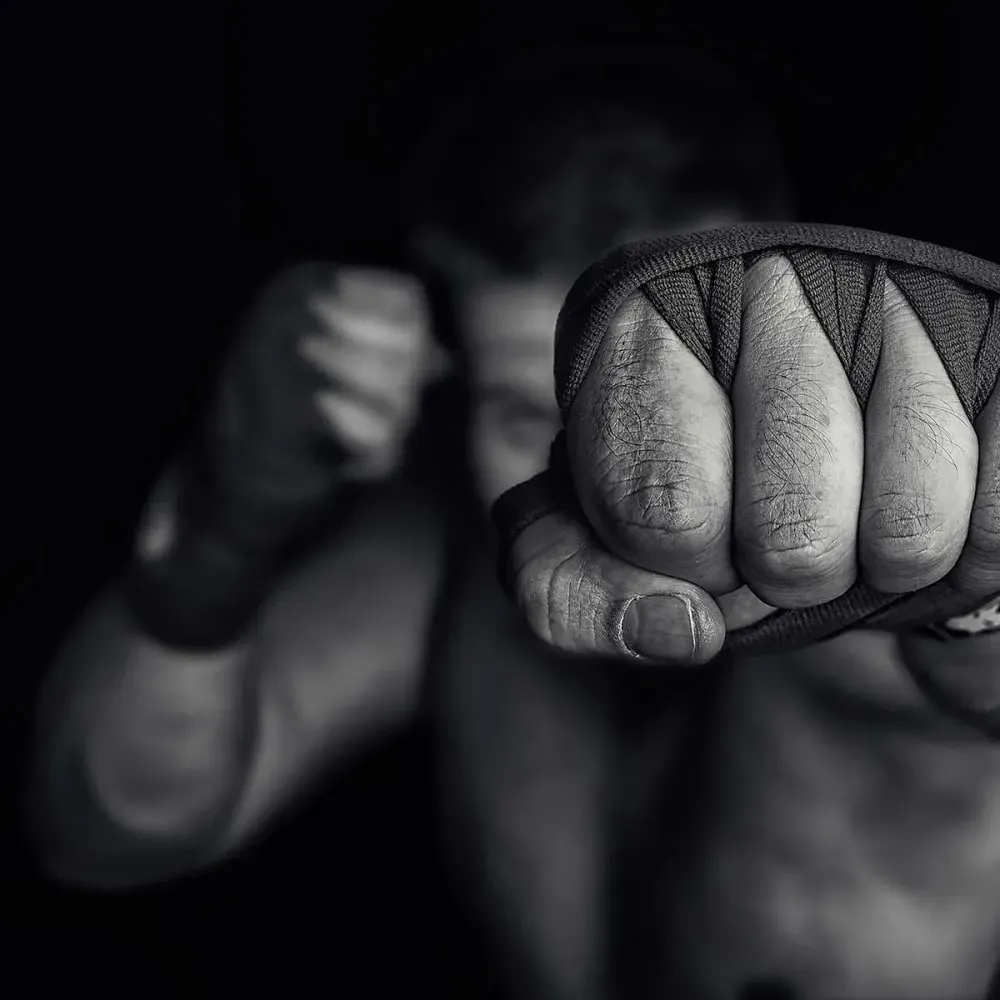 Illustration numéro 3 du produit BOXE left wing impression sur aluminium 120x80 cm