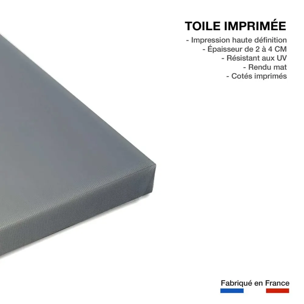 Illustration numéro 3 du produit Tableau animaux flamands bleus toile imprimée 120x80 cm