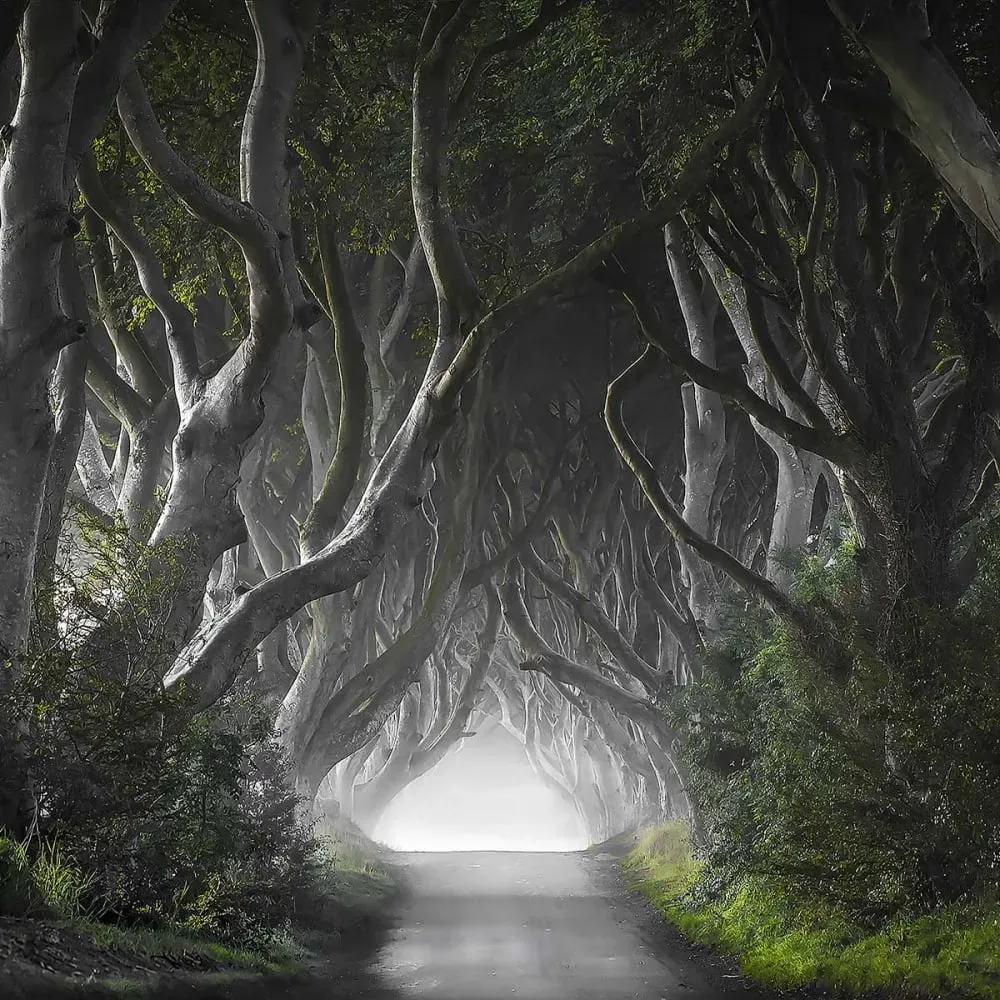 Illustration numéro 3 du produit Tableau route de l'irréel toile imprimée 120x80 cm