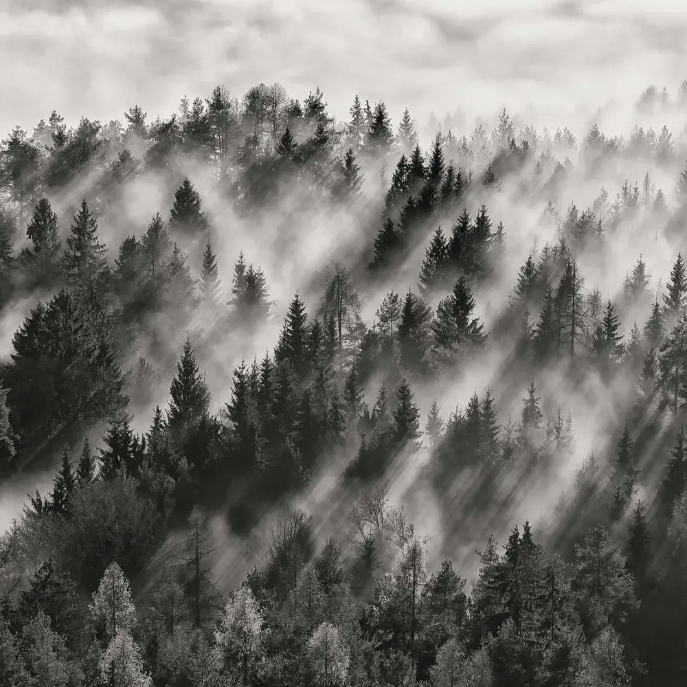 Illustration numéro 3 du produit Tableau rayons de lumière toile imprimée 120x80 cm