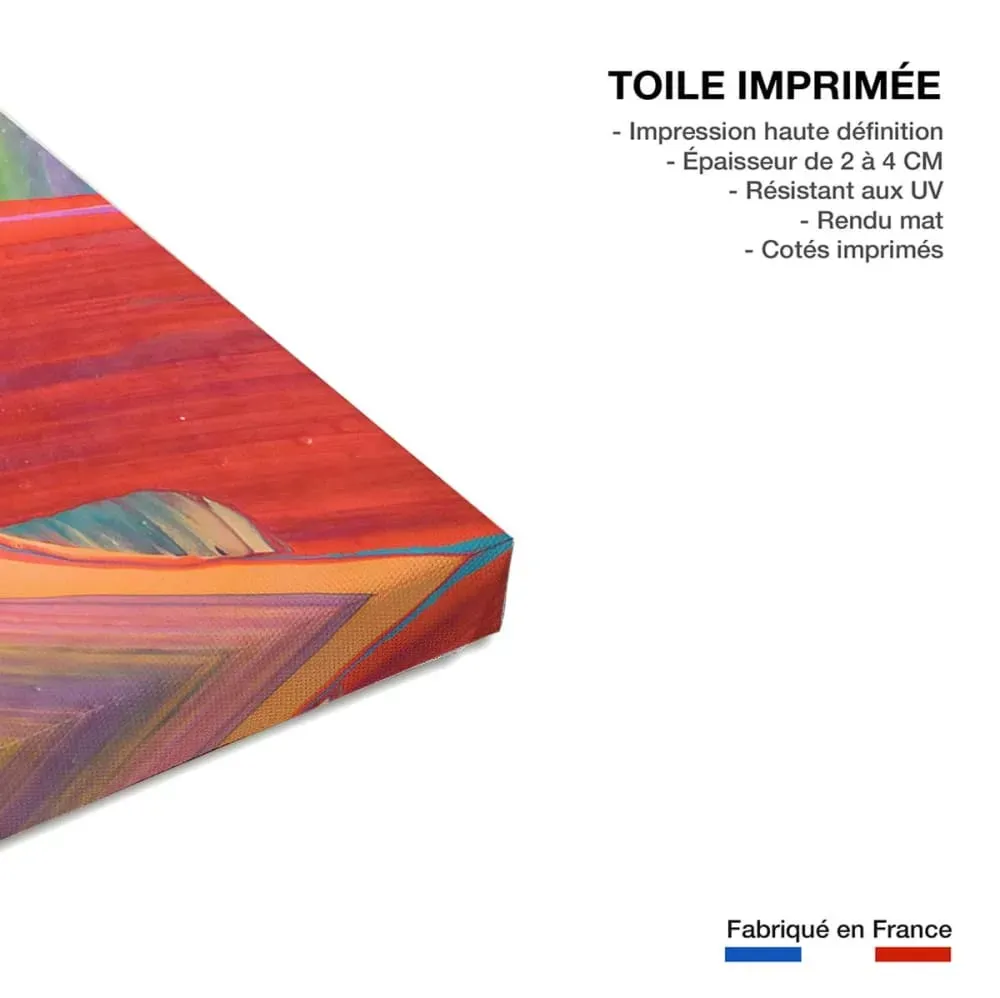 Illustration numéro 3 du produit Tableau design plumo  imprimé sur toile 90x60 cm