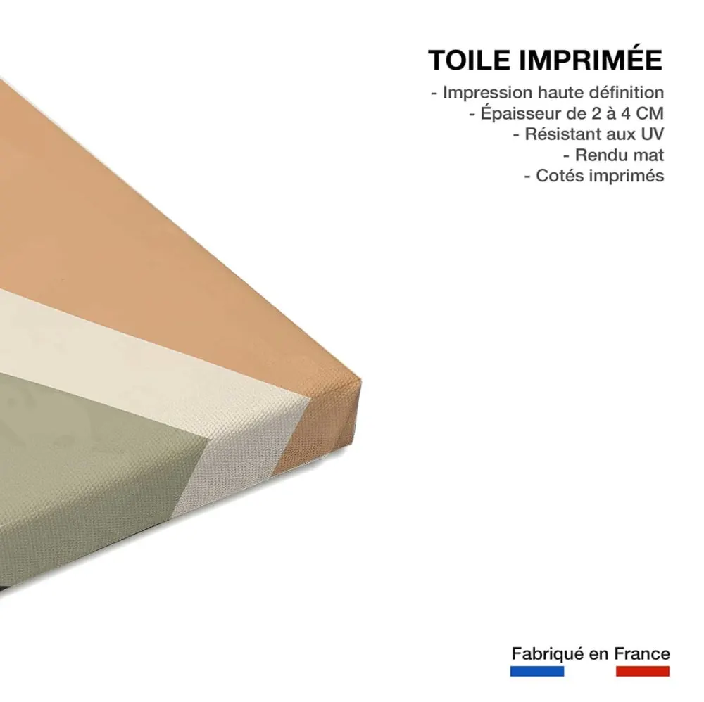 Illustration numéro 3 du produit Tableau contemporain fleurs alchemille  imprimé sur toile 60x90 cm