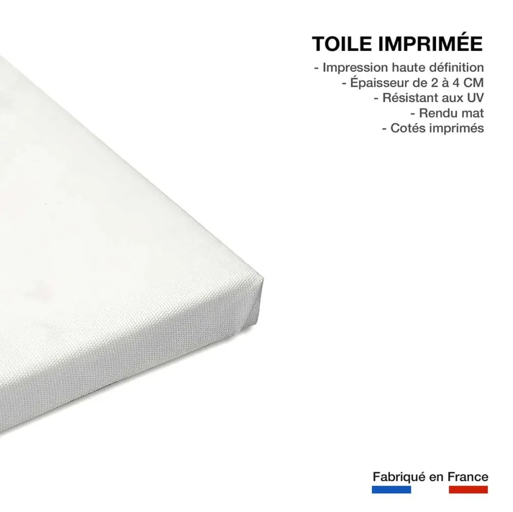 Illustration numéro 3 du produit Tableau design coquelicots gris  imprimé sur toile 90x60 cm