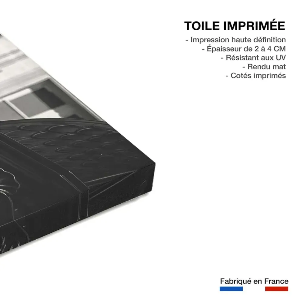 Illustration numéro 3 du produit Tableau paris m comme metro  imprimé sur toile 90x60 cm