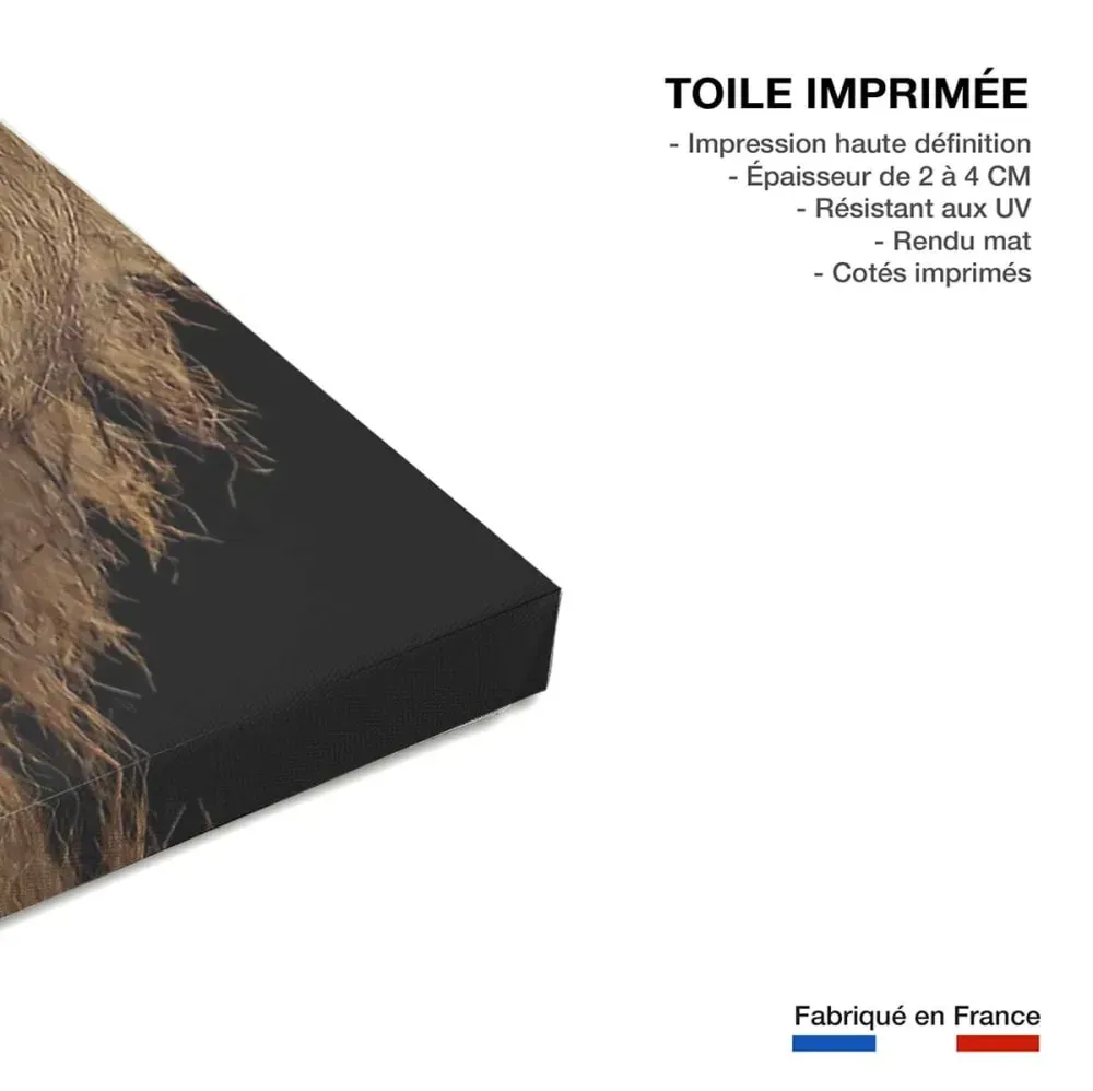 Illustration numéro 3 du produit Tableau lion imprimé sur toile 90x60 cm
