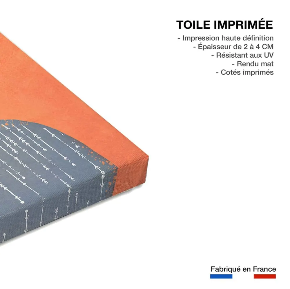 Illustration numéro 3 du produit Tableau art frida orange  imprimé sur toile 60x90 cm