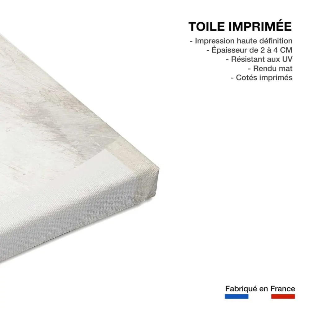 Illustration numéro 3 du produit Tableau argile n°2  imprimé sur toile 60x90 cm