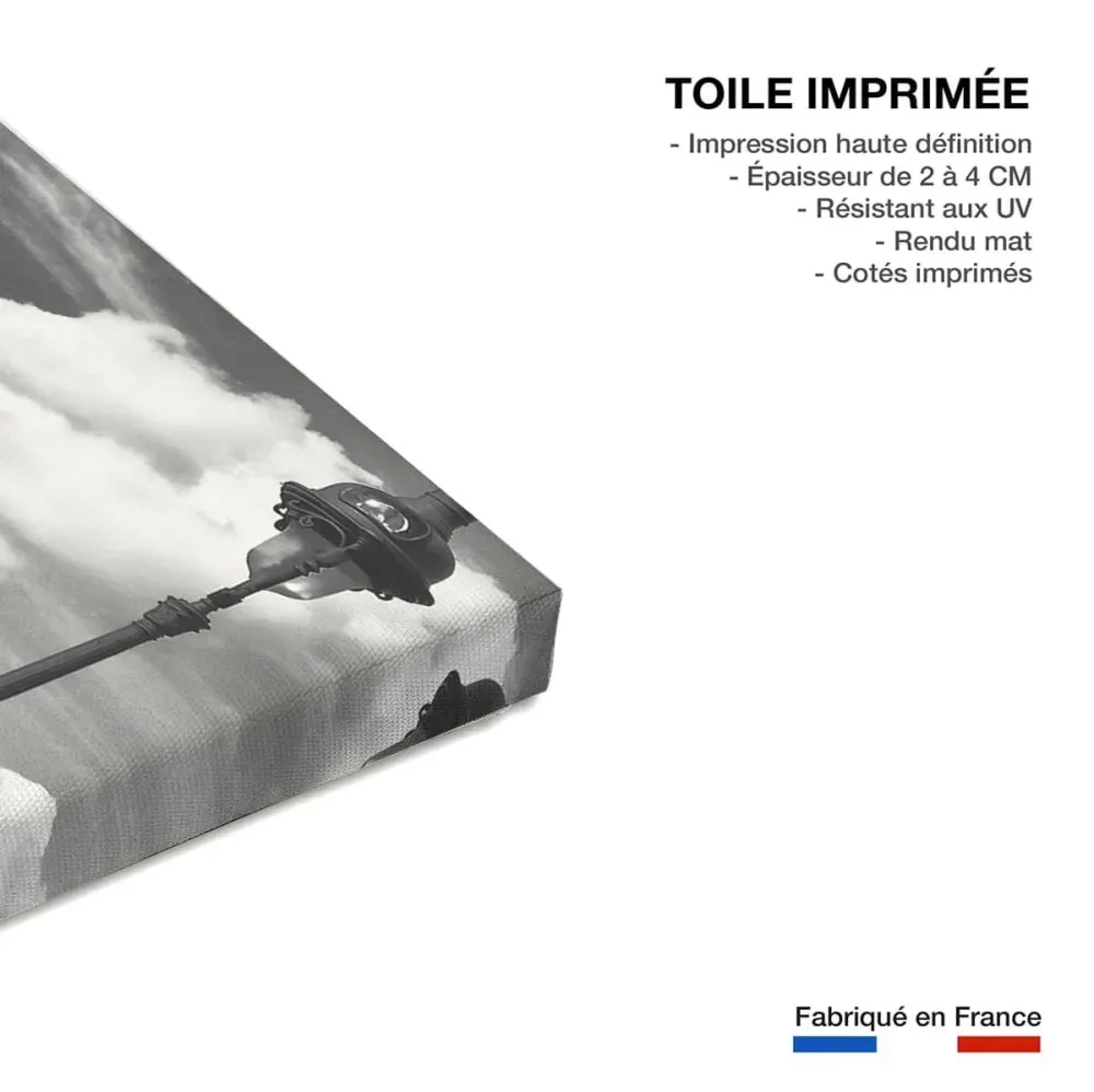 Illustration numéro 3 du produit Tableau paris verrière du grand palais  imprimé sur toile 90x60 cm