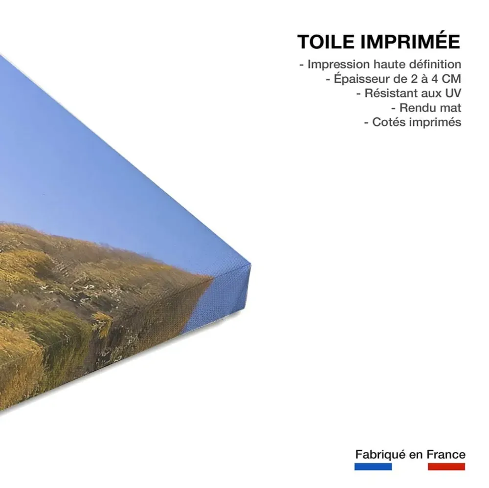 Illustration numéro 3 du produit Tableau montagne pic d'ansabère  imprimé sur toile 90x60 cm
