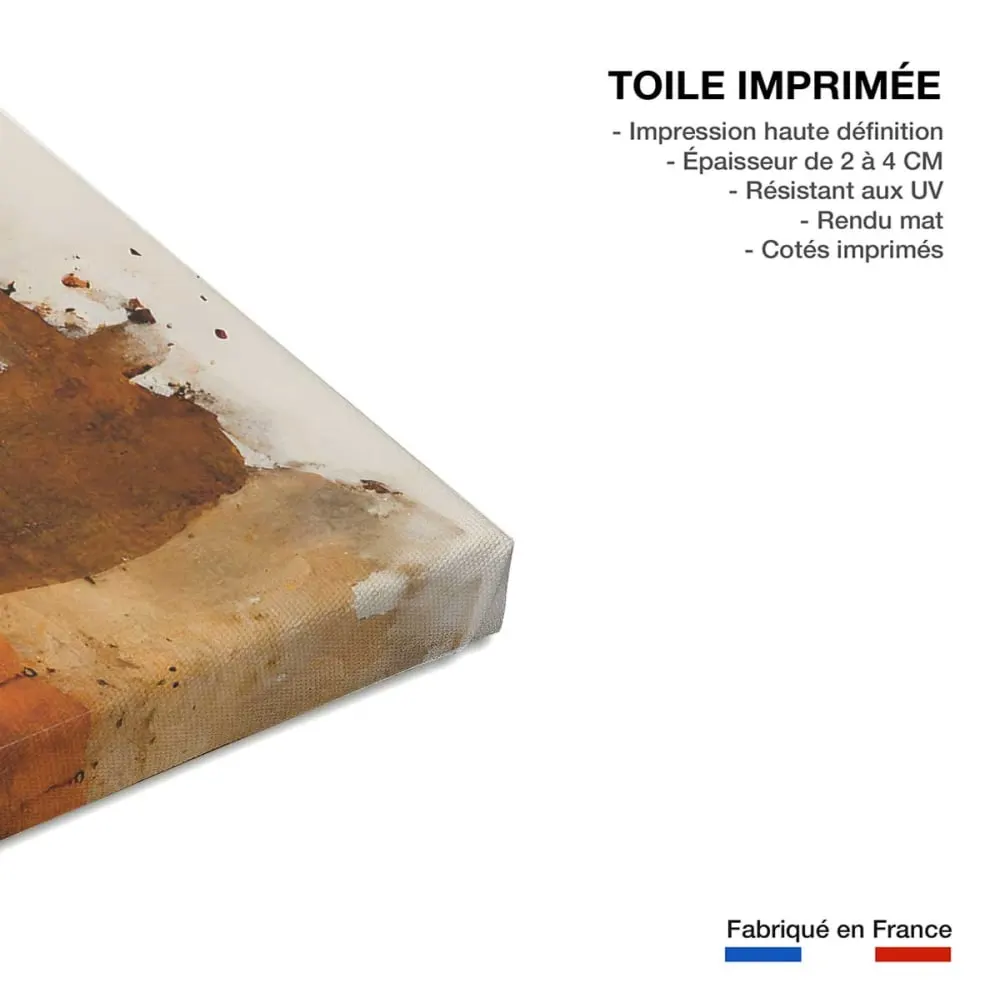 Illustration numéro 3 du produit Tableau turf  imprimé sur toile 60x90 cm