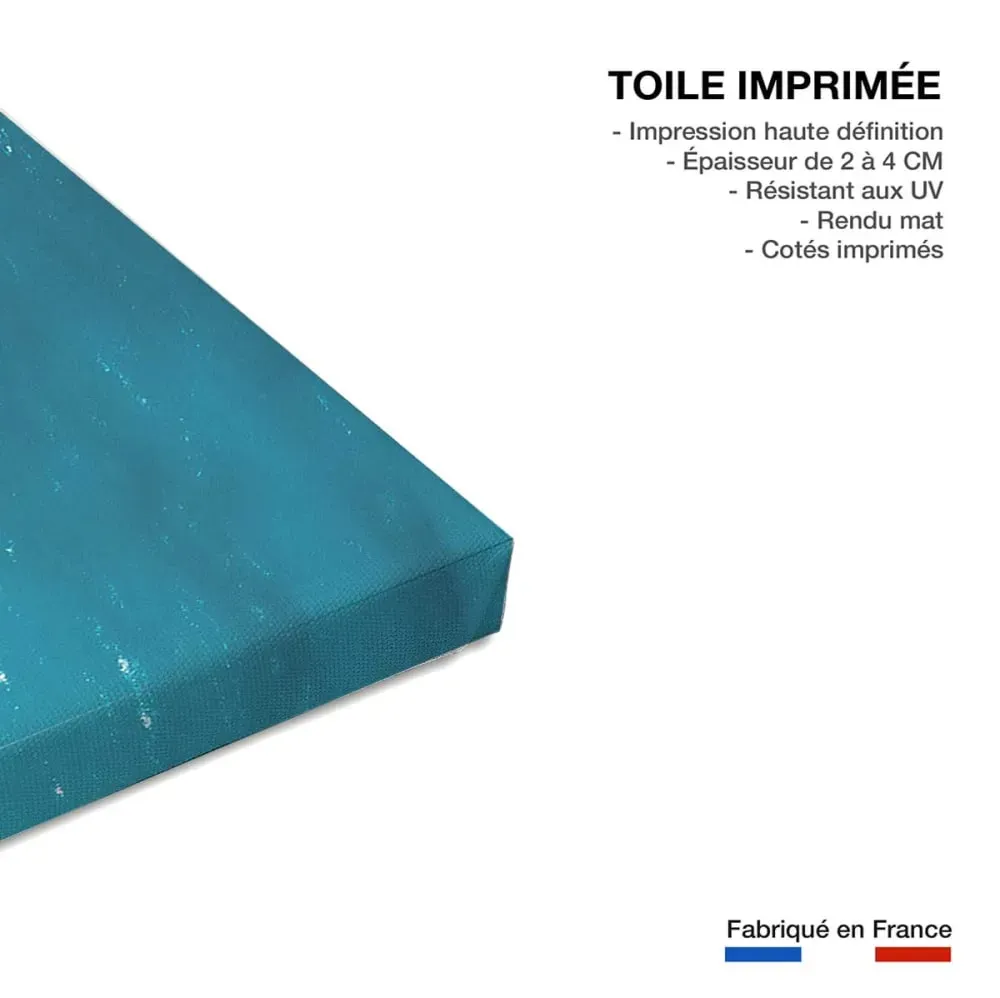 Illustration numéro 3 du produit Tableau mer croisement bleu  imprimé sur toile 90x60 cm