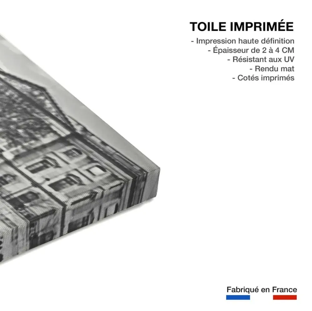 Illustration numéro 3 du produit Tableau paris vélo au bord de seine  imprimé sur toile 90x60 cm