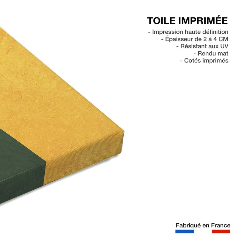 Illustration numéro 3 du produit Tableau organique chrome 1  imprimé sur toile 60x90 cm