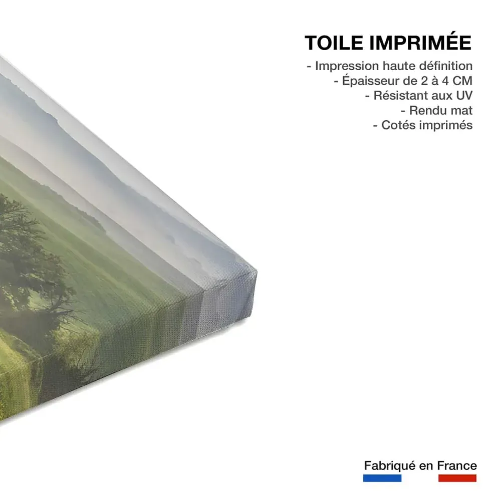 Illustration numéro 3 du produit Tableau nature printemps toscan  imprimé sur toile 90x60 cm