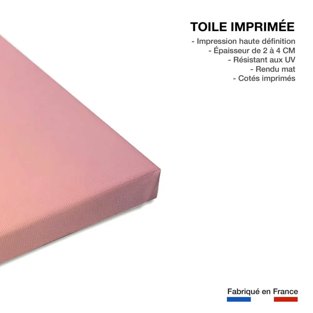 Illustration numéro 3 du produit Tableau palmier rose ciel imprimé sur toile 90x60 cm