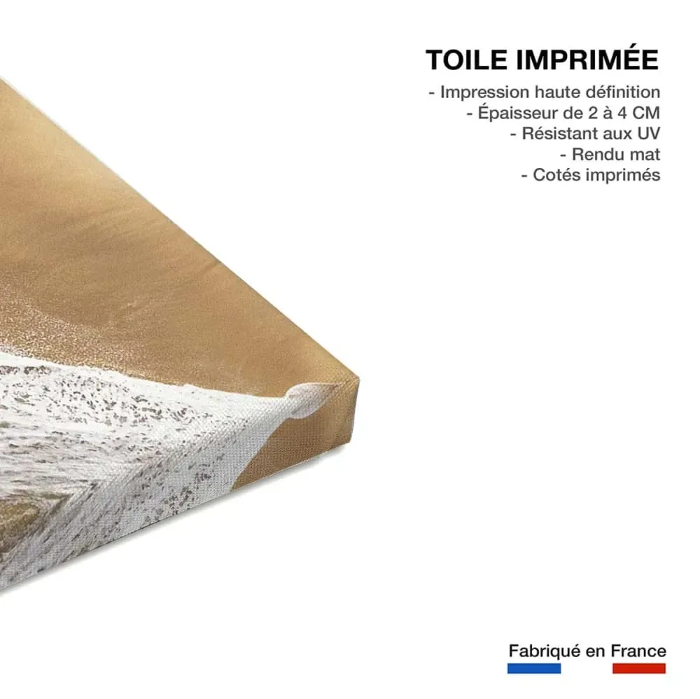 Illustration numéro 3 du produit Tableau mer et plage magie de l'ocean  imprimé sur toile 90x60 cm