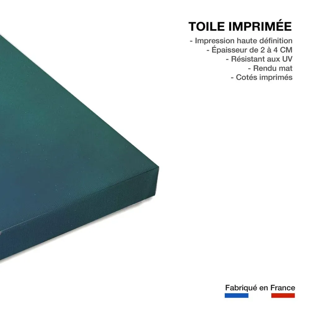 Illustration numéro 3 du produit Tableau paysage passerelle borealis  imprimé sur toile 90x60 cm