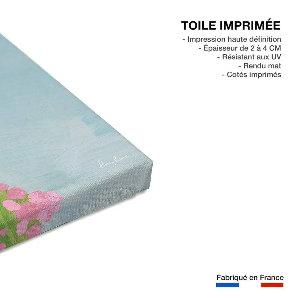 Illustration numéro 3 du produit Tableau paysage irelande  imprimé sur toile 60x90 cm