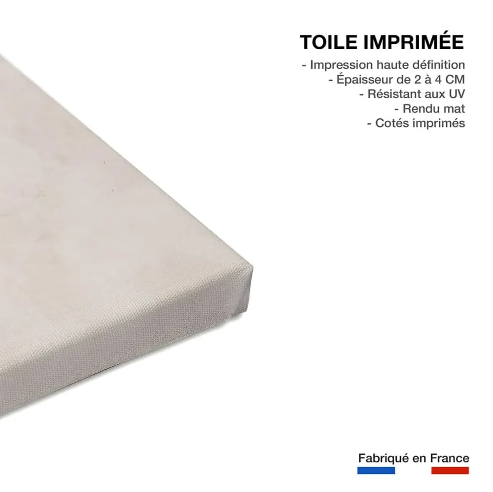Illustration numéro 3 du produit Tableau bleu de chine  imprimé sur toile 60x90 cm