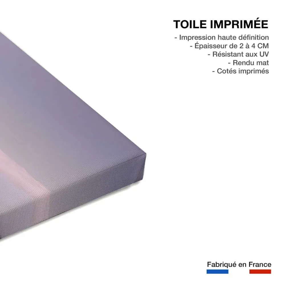 Illustration numéro 3 du produit Tableau montagne 2500 mètres  imprimé sur toile 90x60 cm