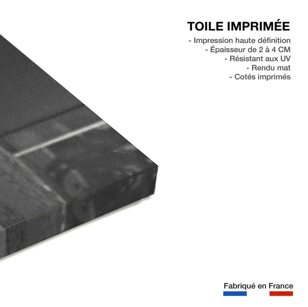 Illustration numéro 3 du produit Tableau animaux skate dog  imprimé sur toile 90x60 cm