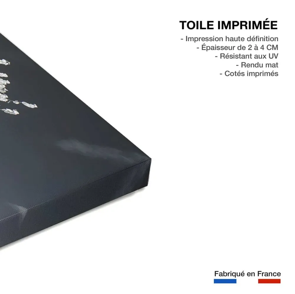 Illustration numéro 3 du produit Tableau paris jardin blanc comme neige  imprimé sur toile 90x60 cm