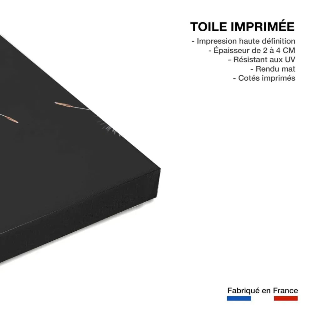 Illustration numéro 3 du produit Tableau fleur pissenlit vole  imprimé sur toile 90x60 cm
