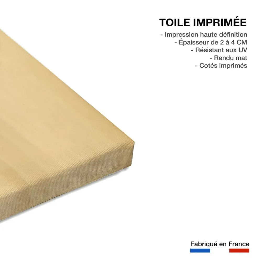 Illustration numéro 3 du produit Tableau tempete en mer enbata sur socoa  imprimé sur toile 90x60 cm