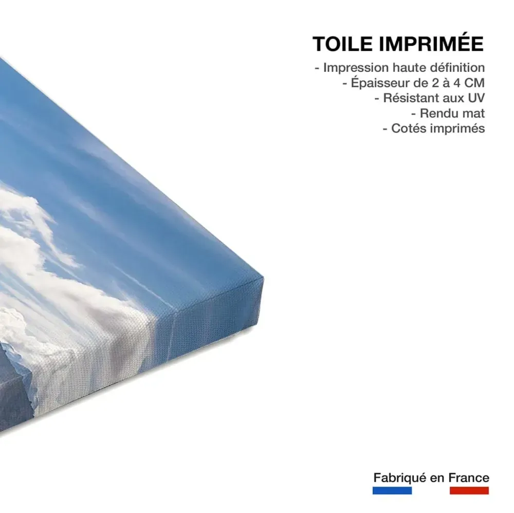 Illustration numéro 3 du produit Tableau monde sur le fil du rasoir  imprimé sur toile 90x60 cm