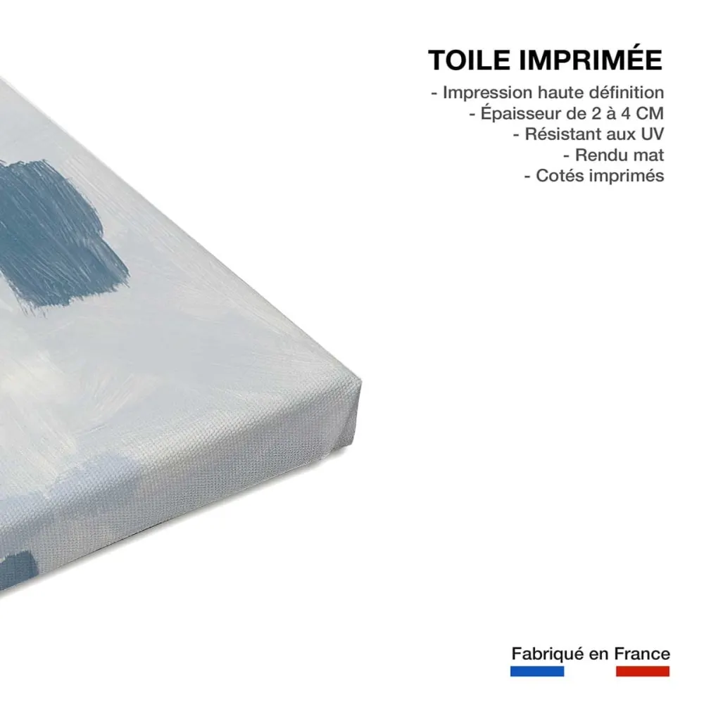 Illustration numéro 3 du produit Tableau abstrait gismo  imprimé sur toile 60x90 cm