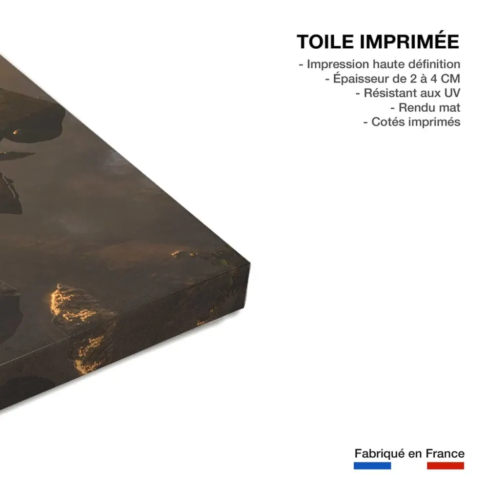 Illustration numéro 3 du produit Tableau campagne coin de paradis  imprimé sur toile 60x90 cm
