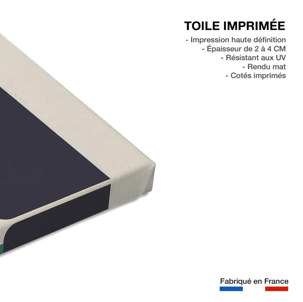 Illustration numéro 3 du produit Tableau bouteille et plante  imprimé sur toile 60x90 cm