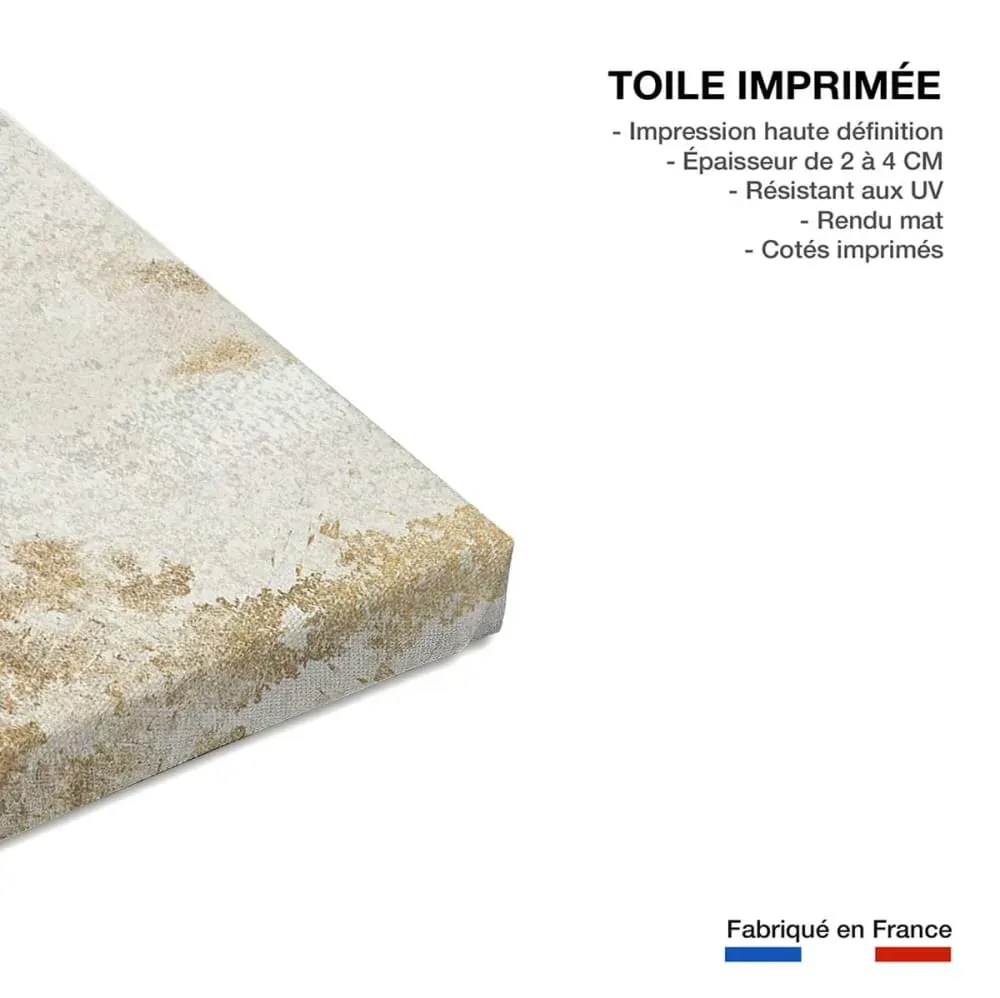 Illustration numéro 3 du produit Tableau de fleurs fleurs du vent  imprimé sur toile 90x60 cm