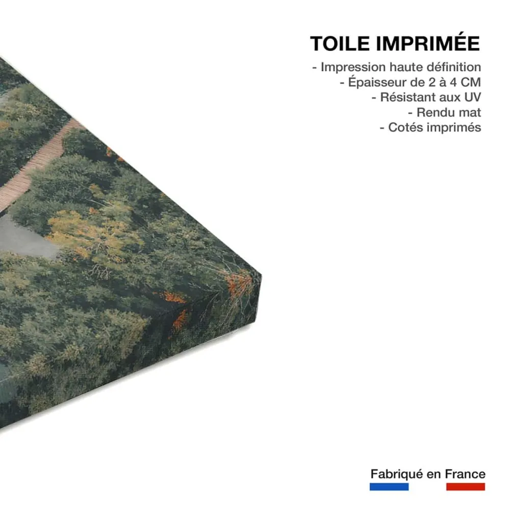 Illustration numéro 3 du produit Tableau montagne lac et forêt en automne  imprimé sur toile 60x90 cm